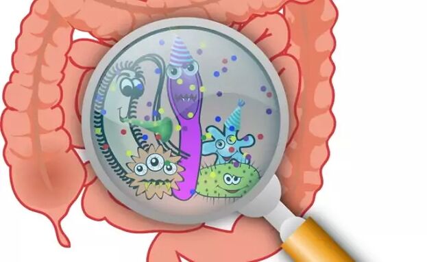 Parásitos no intestino