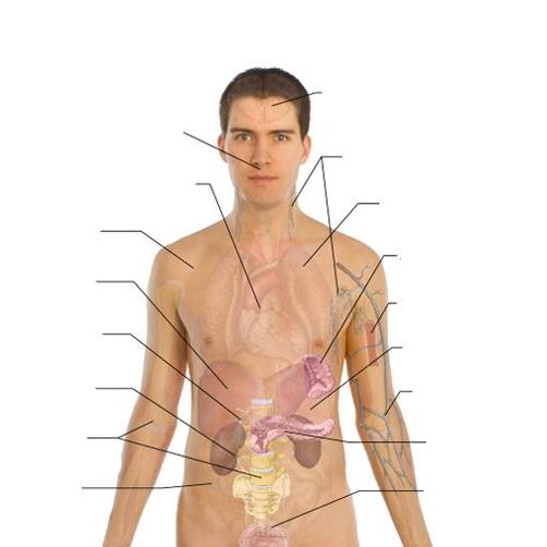 Sinais da presenza de parasitos en varios órganos